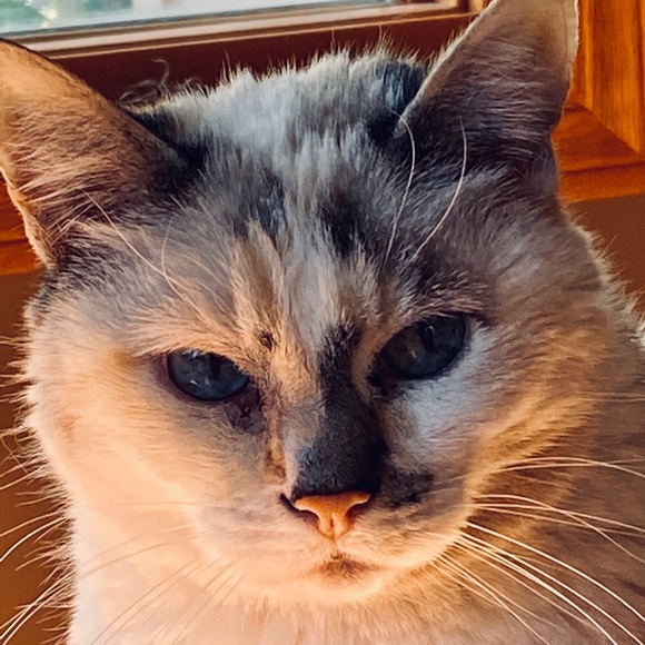 Meet your Posher, Erin - Picture 3 of 6